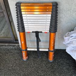 Telescopic Ladder