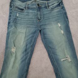 Hollister pants