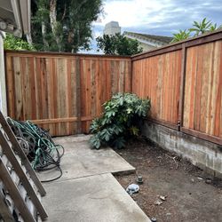 Fence 