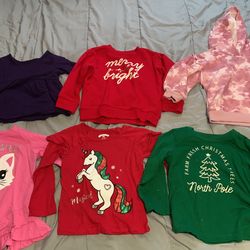 Long Sleeve Shits 2t
