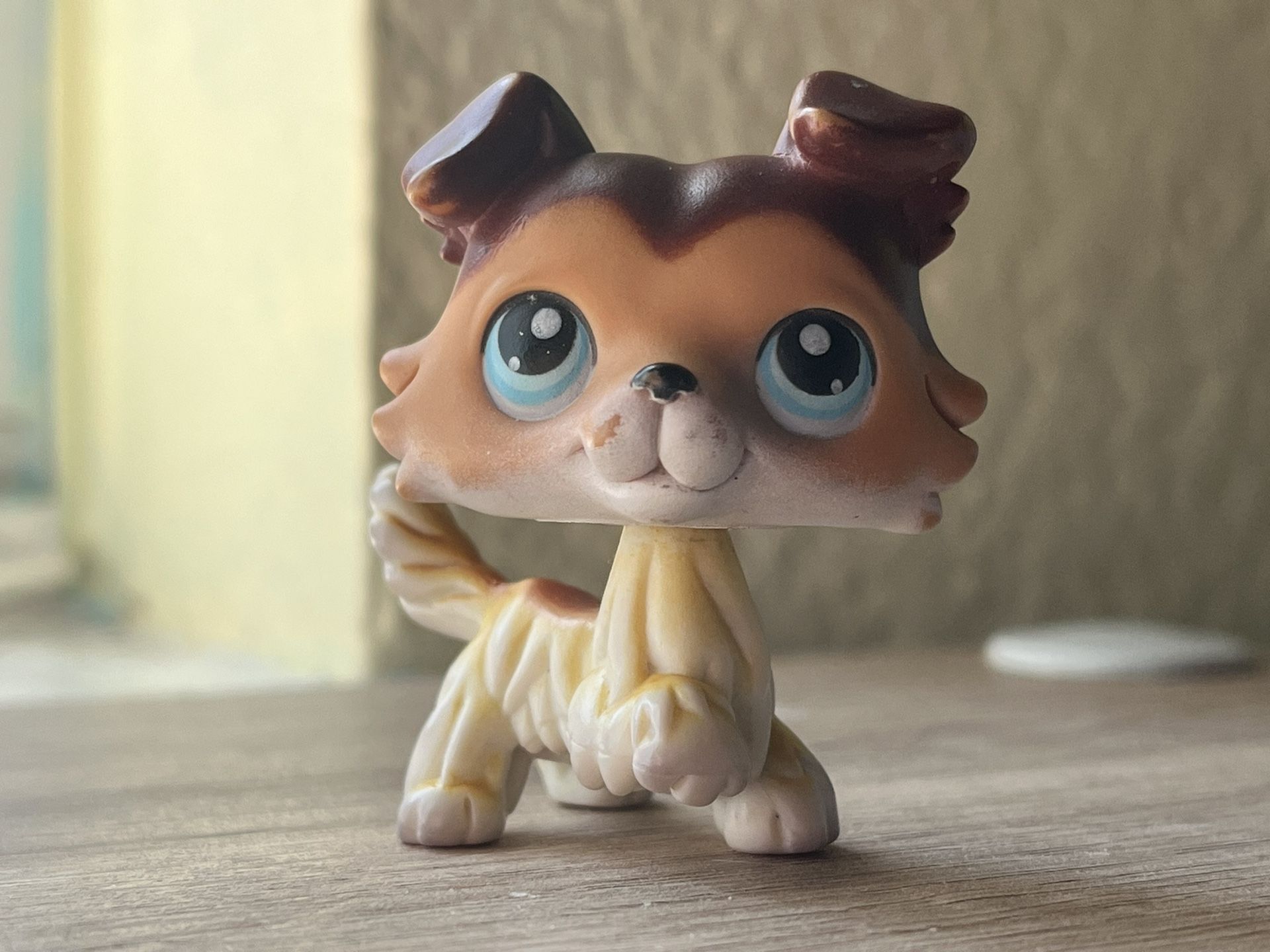 Littlest Pet Shop (LPS) Collie #58