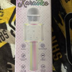 Karaoke dual wireless speaker mic