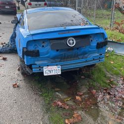 2014 Mustang Premium 