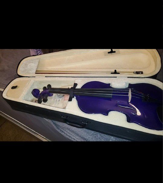 Purple 16" Viola