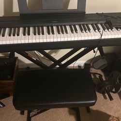 Yamaha P 45 