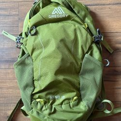 GREGORY Nano 18 Backpack Ultralight RARE GREEN 