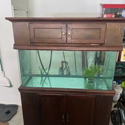 Large Fish Tank Aquarium 120g (LED, Fluval, Stand and Canopy)