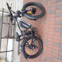 Electric Bike