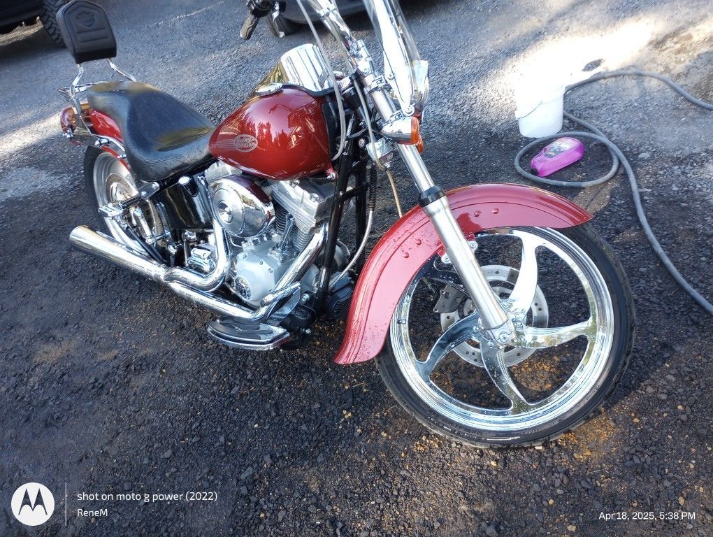 2006 Harley Davidson Softail