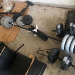 Curl Bar And Dumb Bells Over 100lbs 