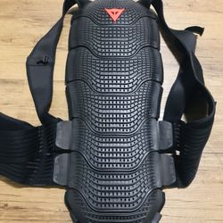 Dainese D1 Back Protector.