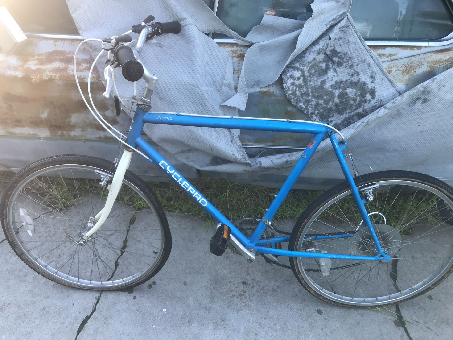 Vintage Cycle Pro Road bike