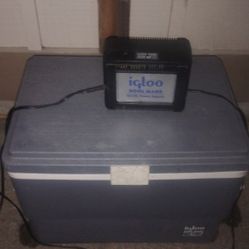 Igloo Electric Cooling And Heating Cooler