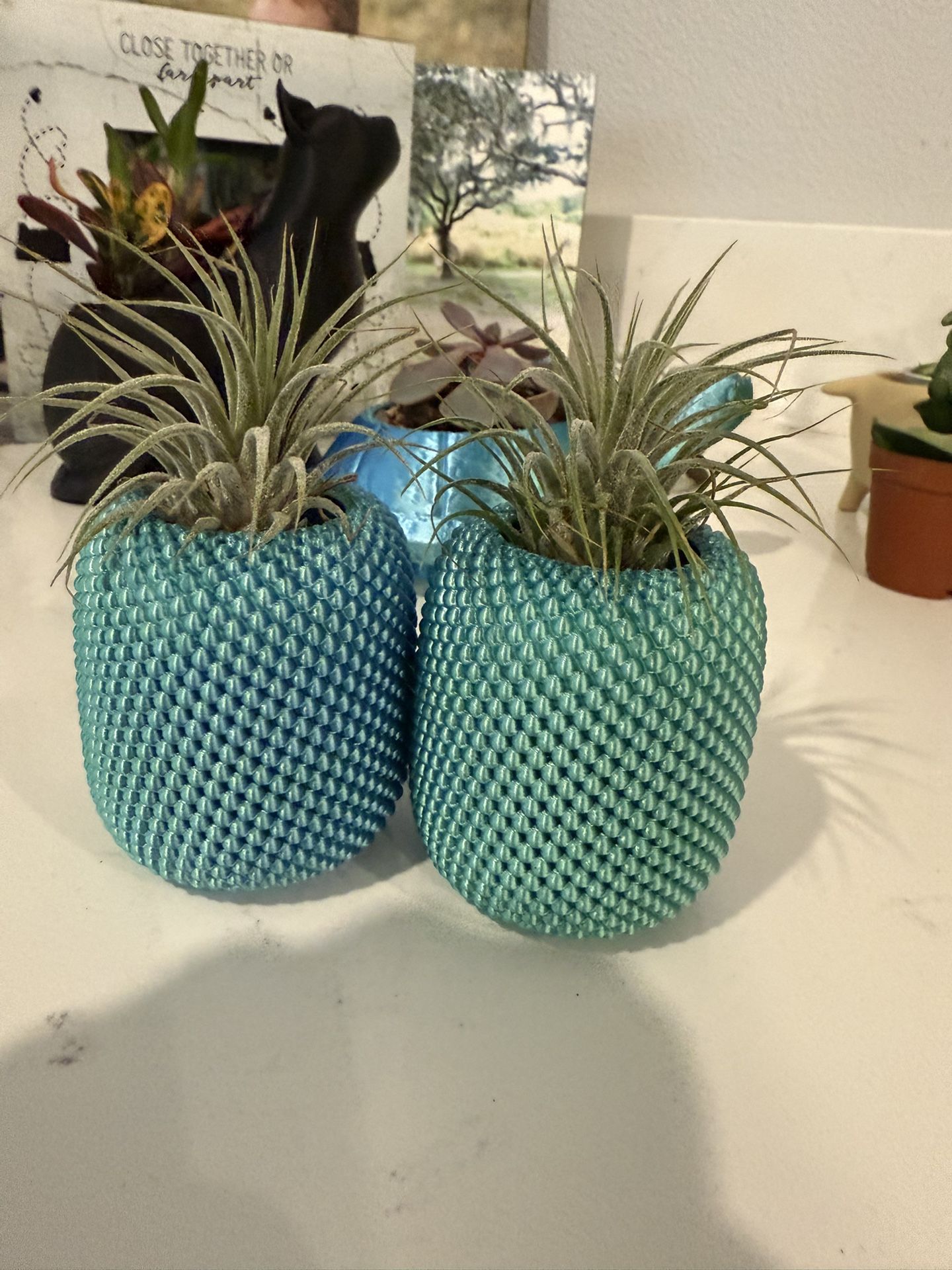 Pineapples Planter With Live Plants