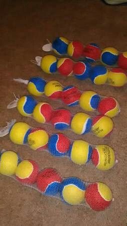 5 pk play ball pet toys! Brand New!