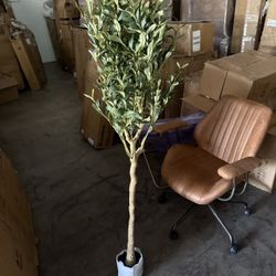 New Artificial Olive Trees, 5 ft Tall Fake Olive Trees for Indoor, Faux Olive Silk Tree, Large Olive Plants with White Planter for Home Decor