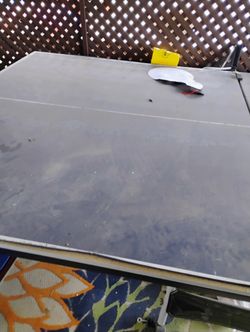 Ping Pong Table $40