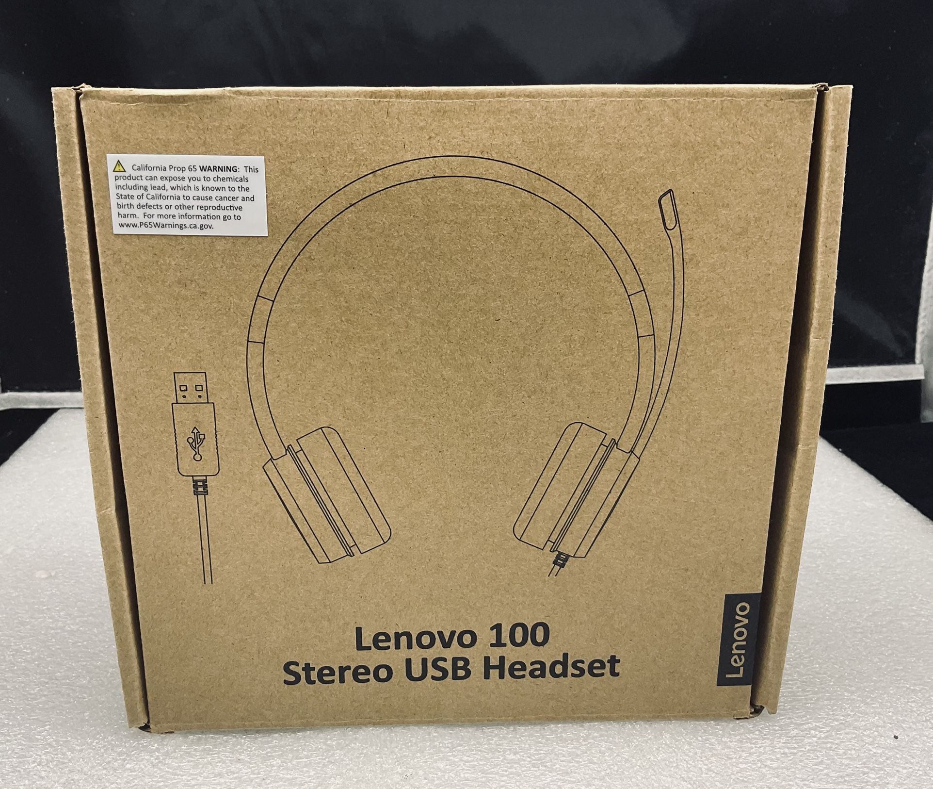 Lenovo 100 Stereo USB Headset
