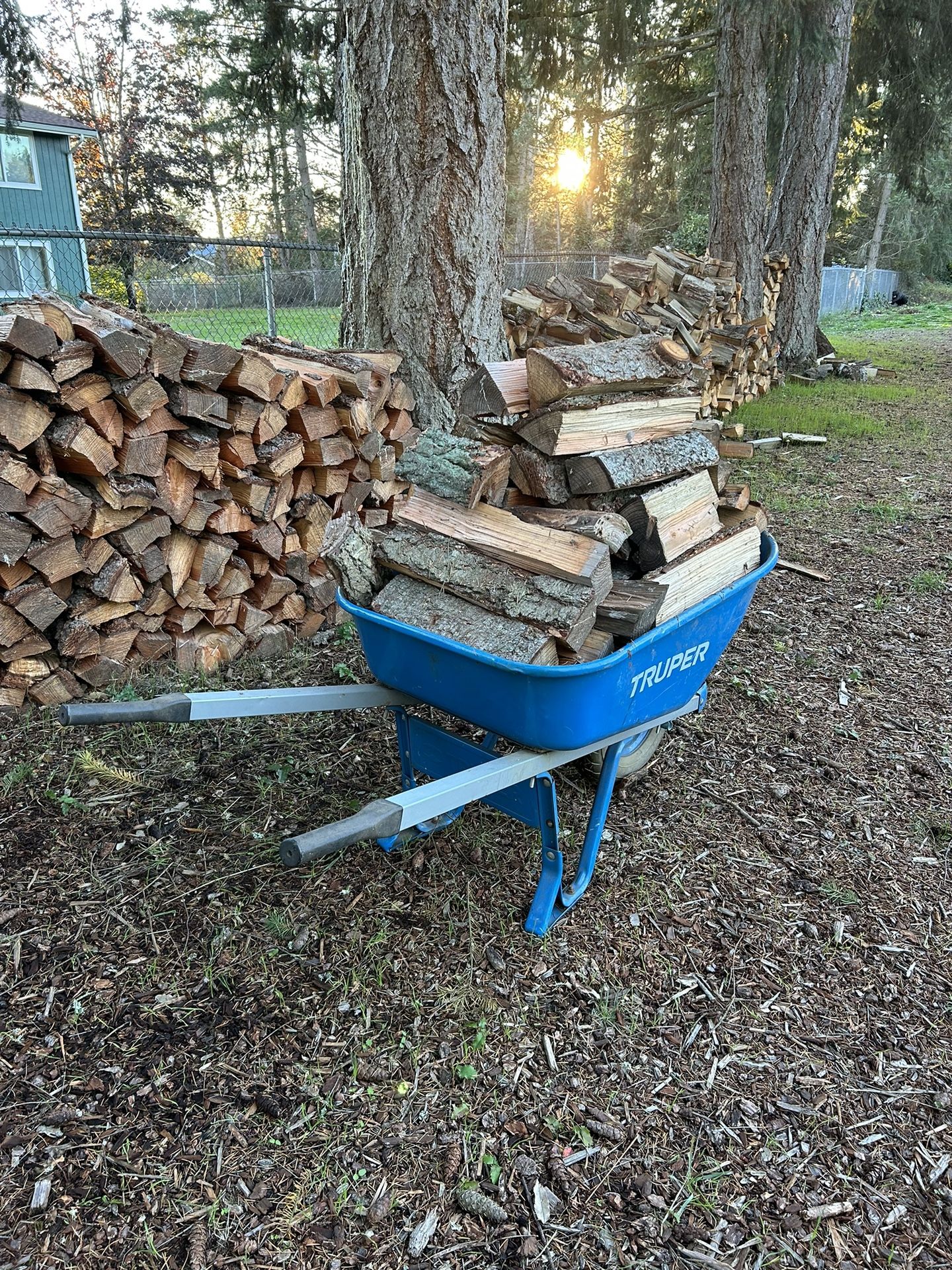 Firewood 