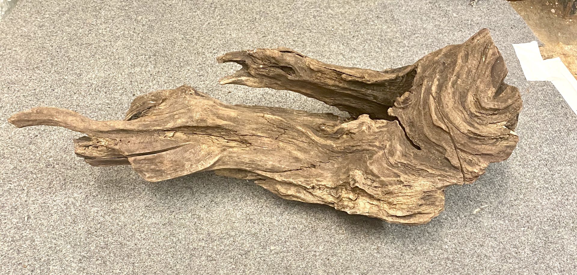 26 inch piece of driftwood