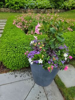 Highline landscape design