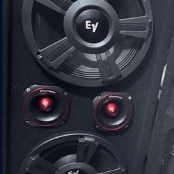 2 10 Inch Ev Gold Chuchero With New Box N New Pioneer Tweeters 