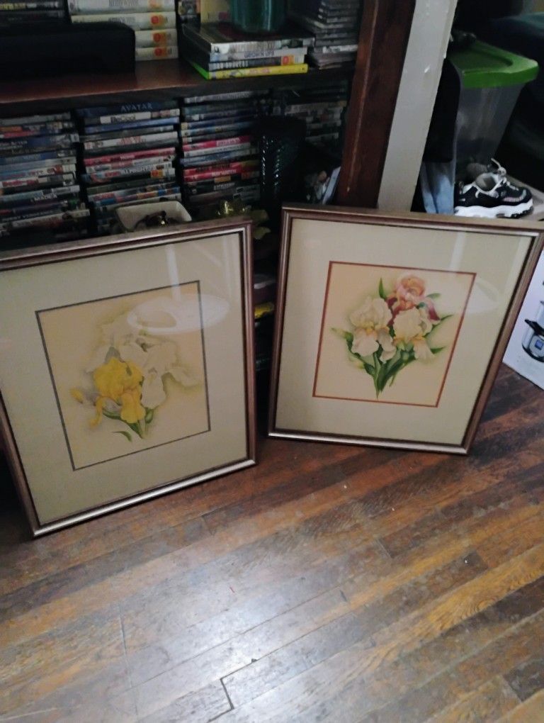 2 Beautiful Pictures