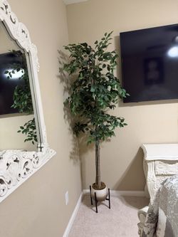 Beautiful Artificial Ficus Tree.