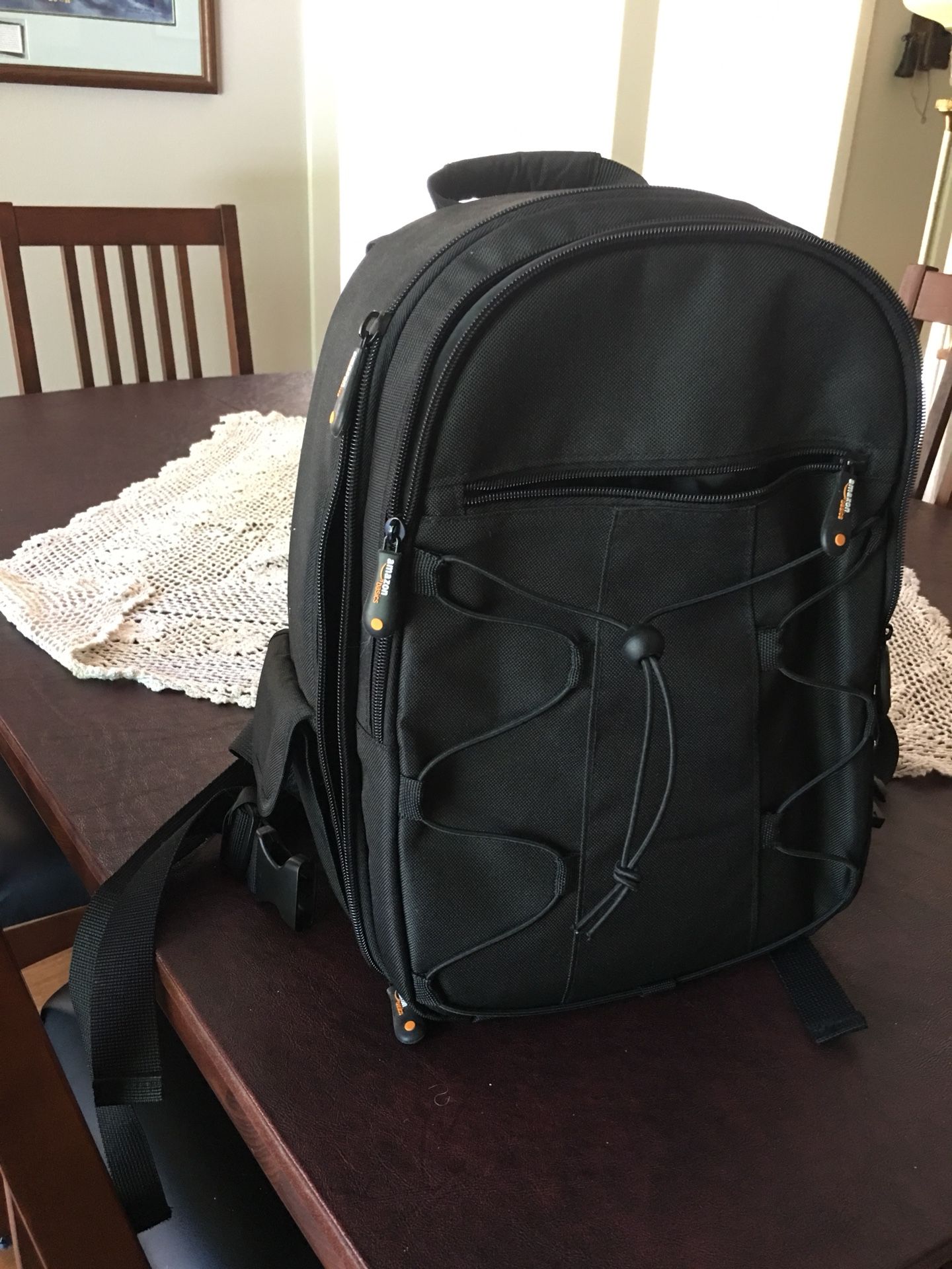 Amazon basic camera case/backpack