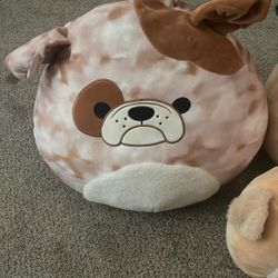Squishmallows Dog Plushes
