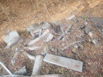 Free Oak Wood