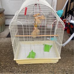Bird cage Price 10 $ Pick Up.  E.  Side.  Tacoma 