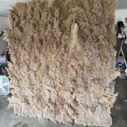 Pampas Wall Backdrop