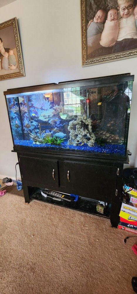 55Gal Fish Tank 