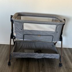 Rocking Bedside Bassist 