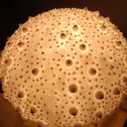 Sea Lunar Lamp