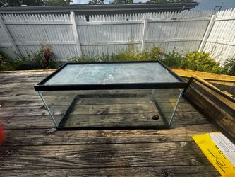 Fish Tank