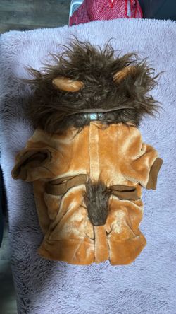 Costume lion for dogs 🐶 ex