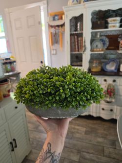 Faux plant