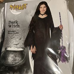 Spirit Halloween  Dark Witch Costume