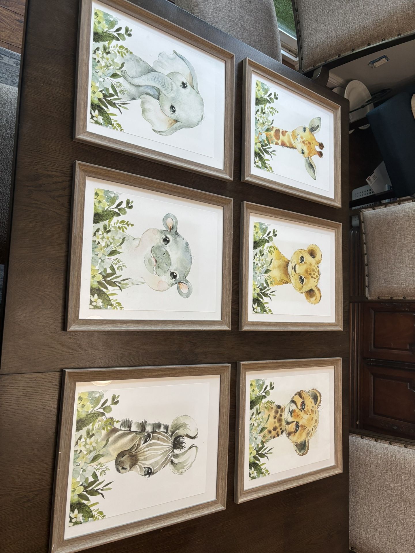 Safari Themed Nursery Picture Frame Set of 6 with Prints