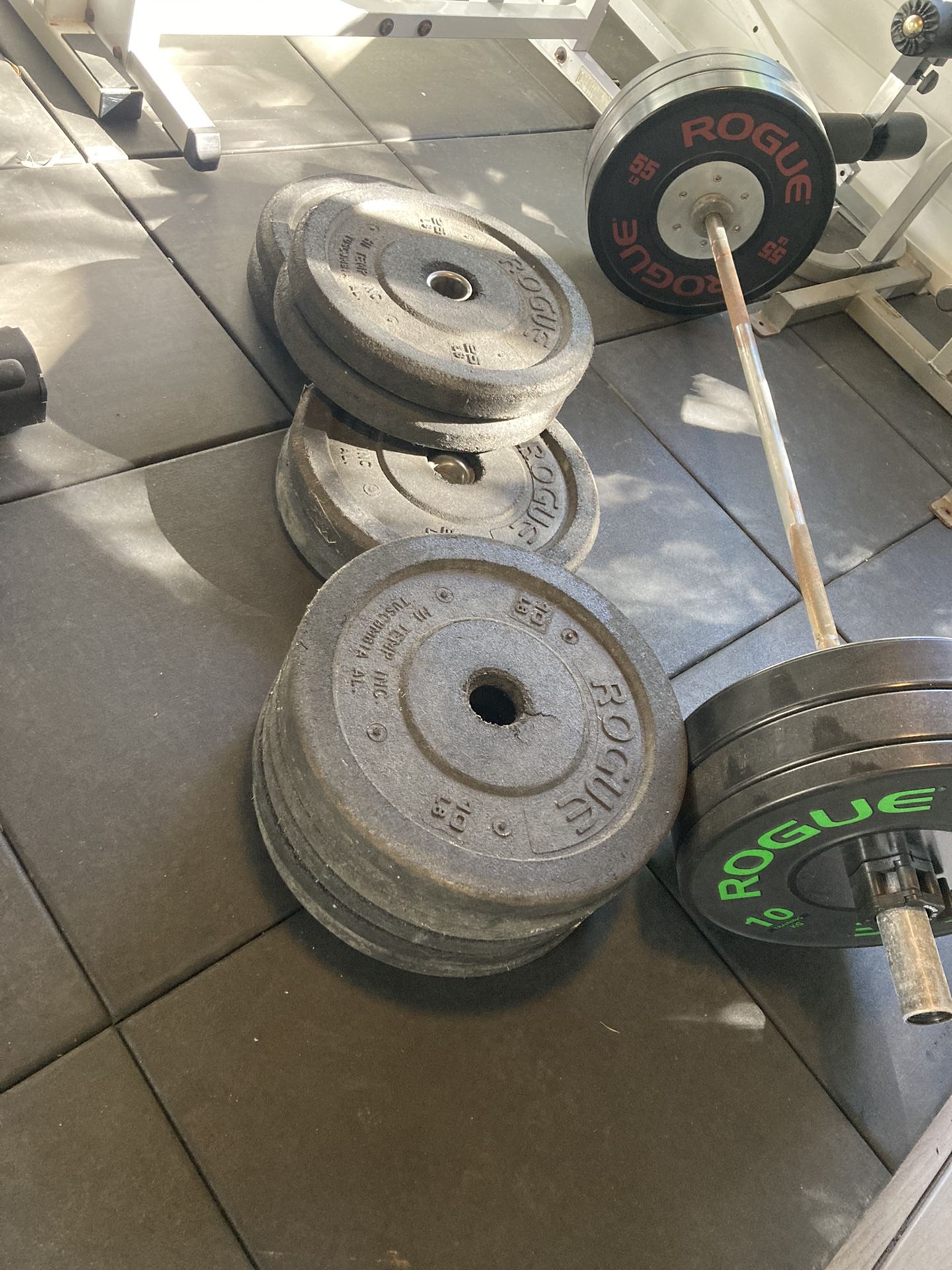 Rogue Fitness Rogue Alpha Bar And Bumper Set Rogue Fitness Hi Temp