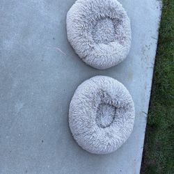Cat Beds