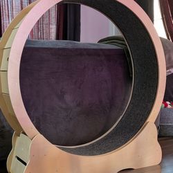 Cat Wheel
