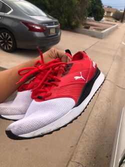 Size 14 pumas