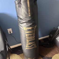 Everlast Punching Bag