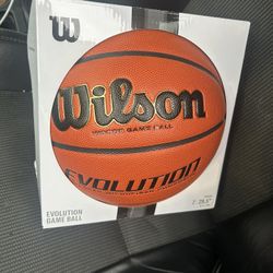 Wilson Evolution Official NBA Size Basketball (Brand New)