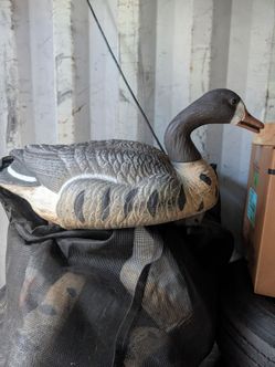 Duck decoys