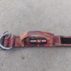 Boss Dog Doc Collar