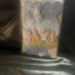 Bluey Treat Boxes